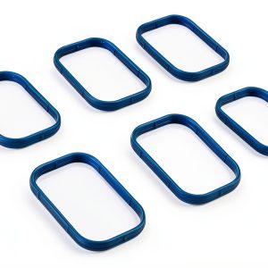 Raneped Fuel Injection Plenum Gasket Set Rubber Silicone-0