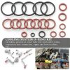XDDPRO BMW E46 Cooling O Ring Kit with FKM/HNBR Seal for M52 M54-2