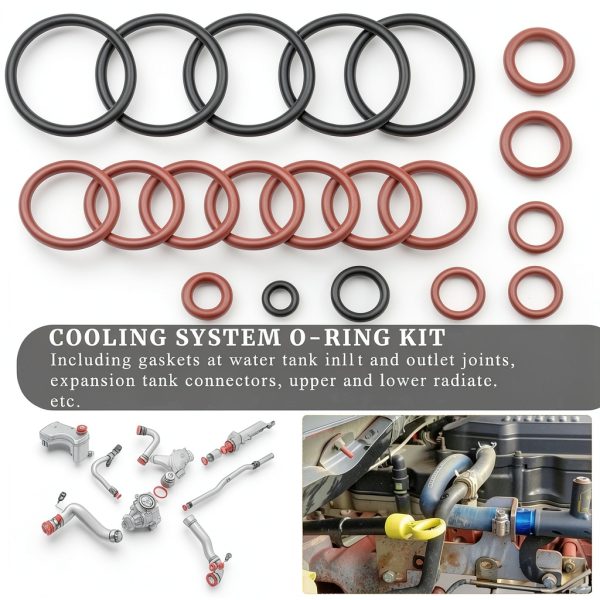 XDDPRO BMW E46 Cooling O Ring Kit with FKM/HNBR Seal for M52 M54-2