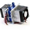 Peltier Water Chiller DC12V Dual Chip 144W TEC1-12706 Cooler by-2